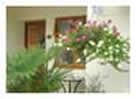 Blue Cedars Bed & Breakfast - the front door