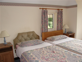 Twin Beds at Wych Elm B&B in Danbury, Essex