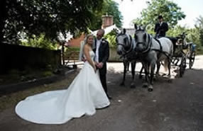Bride and bridegroom posing for the photographer in front of their horse drawn carriage